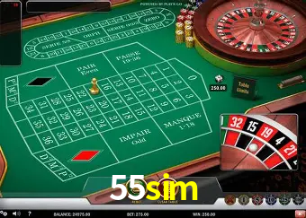 Sistemas de Segurança 55sim